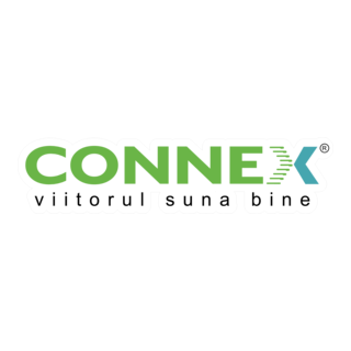 Connex Logo PNG Vector