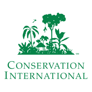 Conservation International Logo PNG Vector