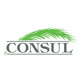Consul Logo PNG Vector