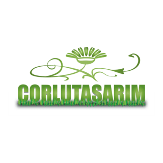 Corlutasarim.com Logo PNG Vector
