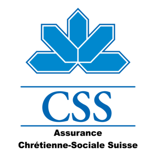CSS Logo PNG Vector