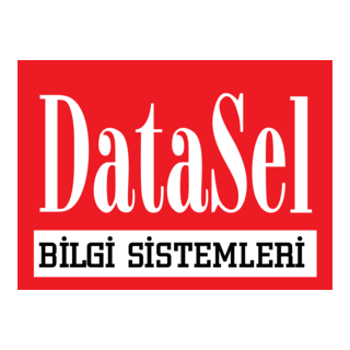 DataSel Bilgi Sistemleri Logo PNG Vector