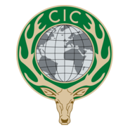 CIC Logo PNG Vector