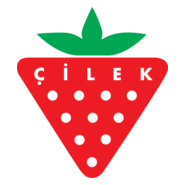 Cilek Genc Odasi Logo PNG Vector