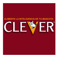 Clever Logo PNG Vector