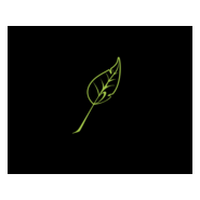 clorophilla film leaf Logo PNG Vector