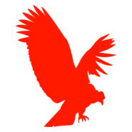 condor Logo PNG Vector
