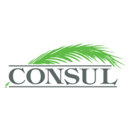 Consul Logo PNG Vector