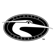 Delmarva Shorebirds Logo PNG Vector