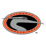 Delmarva Shorebirds Logo PNG Vector