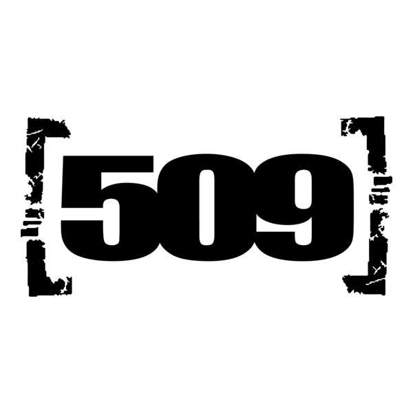 509 Logo PNG Vector