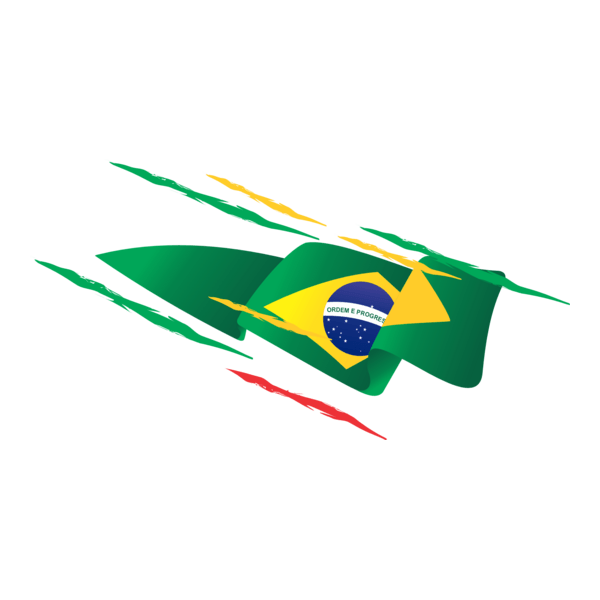 Bandeira do Brasil Logo PNG Vector