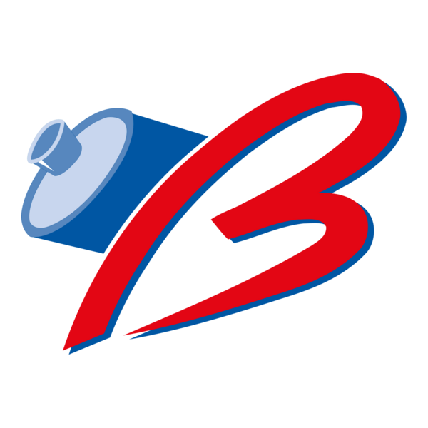 Birikim Pilleri Logo PNG Vector