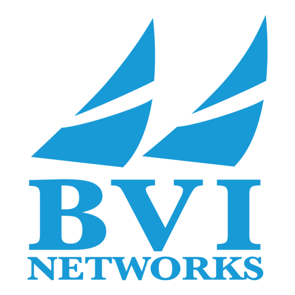 BVI Networks Logo PNG Vector