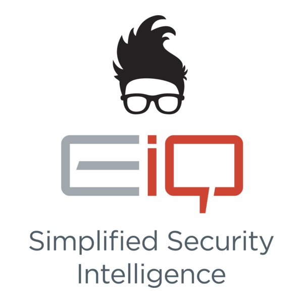 EiQ Networks Logo PNG Vector