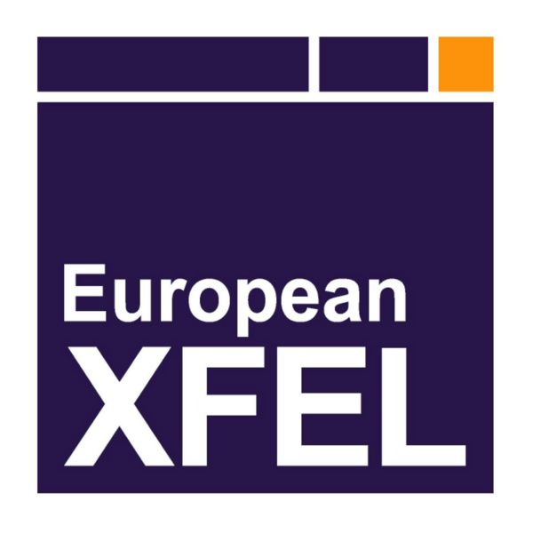 European XFEL Logo PNG Vector