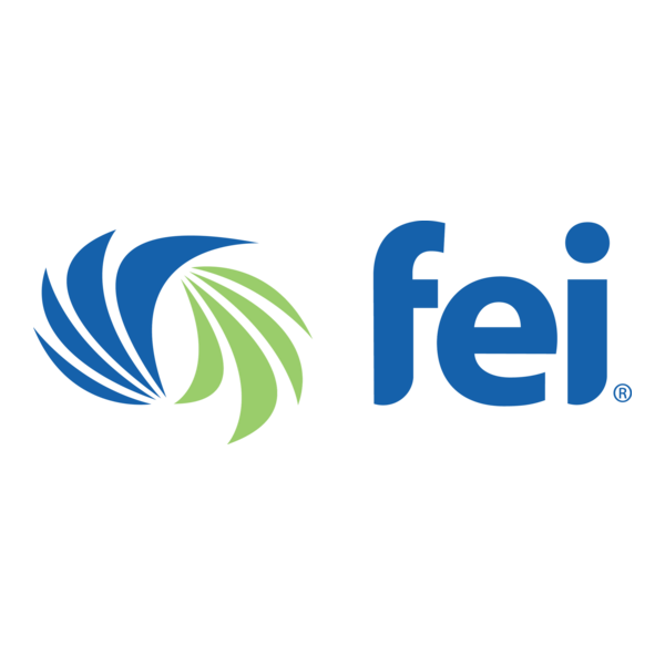 Financial Executives International FEI Logo PNG Vector