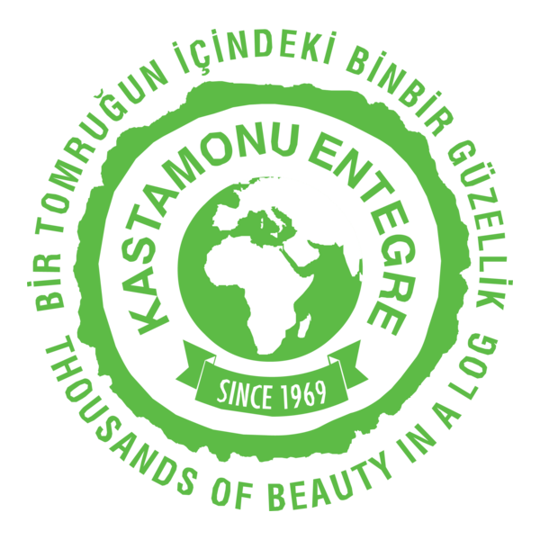 Kastamonu Entegre Logo PNG Vector