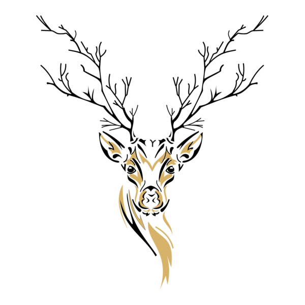 Park Logo PNG Vector