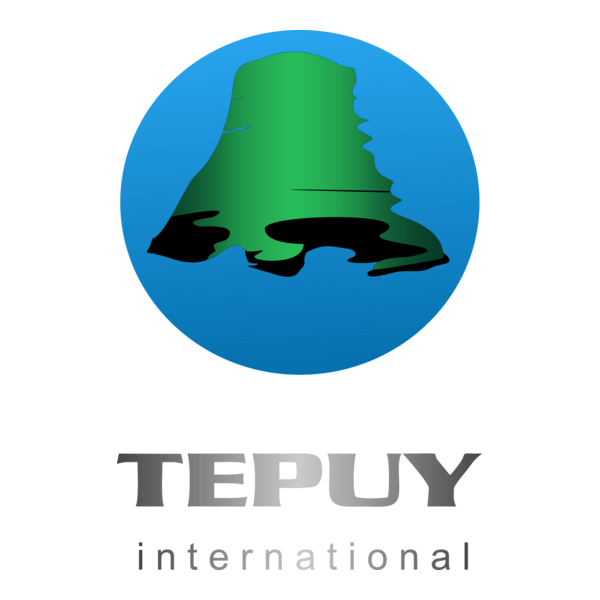 Tepuy International Logo PNG Vector
