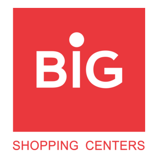 BIG Logo PNG Vector