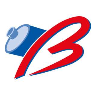 Birikim Pilleri Logo PNG Vector