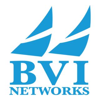 BVI Networks Logo PNG Vector