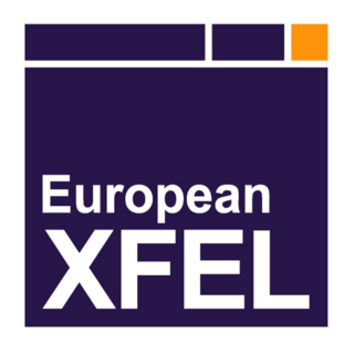 European XFEL Logo PNG Vector