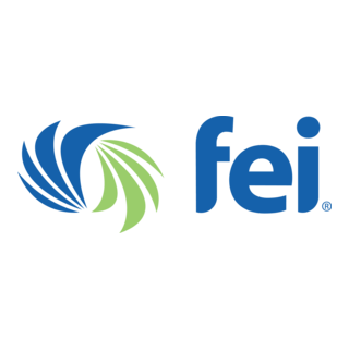 Financial Executives International FEI Logo PNG Vector