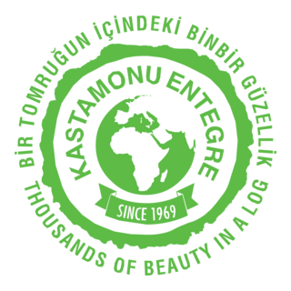 Kastamonu Entegre Logo PNG Vector