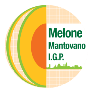 Melone Mantovano IGP Logo PNG Vector