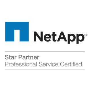 NetApp Star Partner Professional Service Logo PNG Vector