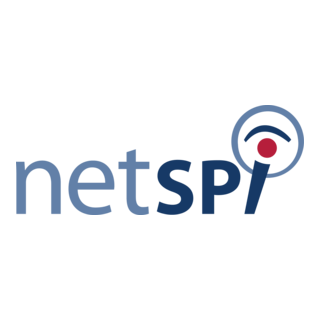 Netspi Logo PNG Vector
