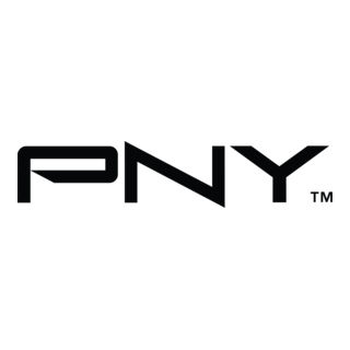PNY Logo PNG Vector