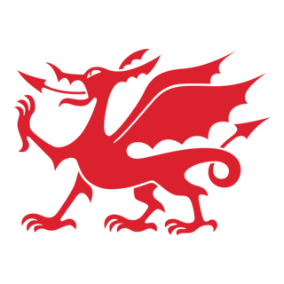 Red dragon Logo PNG Vector