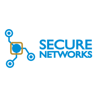Secure Networks Logo PNG Vector