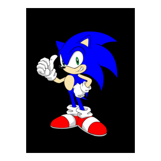 sonic Logo PNG Vector