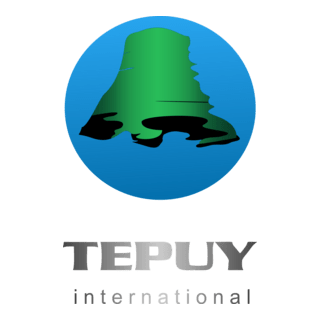 Tepuy International Logo PNG Vector