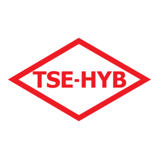 TSE-HYB Türk Standartları Enstitüsü Hizmet Yeterl Logo PNG Vector