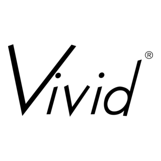 Vivid Logo PNG Vector