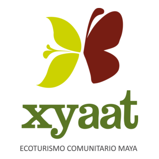 Xyaat Logo PNG Vector