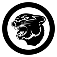 ARCTIC CAT Logo PNG Vector