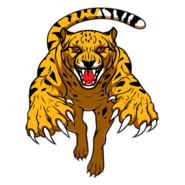 cheeta Logo PNG Vector