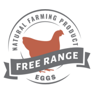Chicken Eggs Logo PNG Vector