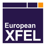 European XFEL Logo PNG Vector