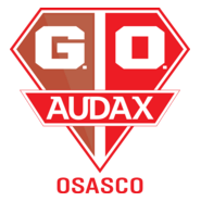 FC GREMIO OSASCO Logo PNG Vector