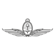 FUERZA AEREA ARGENTINA Logo PNG Vector