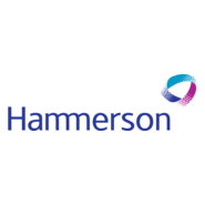 Hammerson Logo PNG Vector