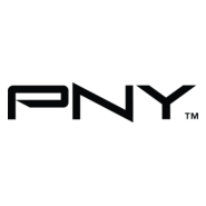 PNY Logo PNG Vector