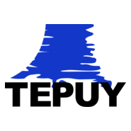 Tepuy Films 1995 Logo PNG Vector